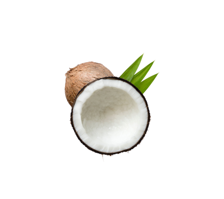 cocco-300x300_1256023113